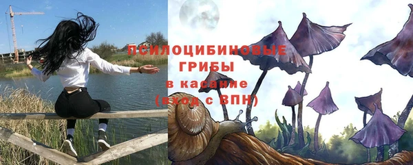 МДПВ Верхний Тагил